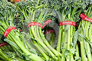 Bundles of Bright Green Broccoli