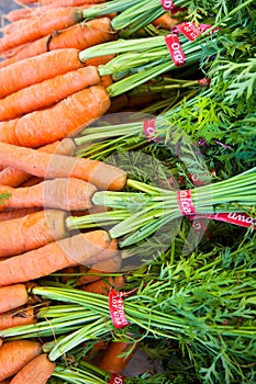 Bundles of Colorful Carrots