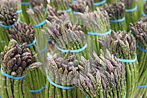 Bundles of farm fresh Asparagus