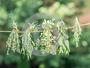 Bundles of flavoured herbs drying on the open air. Nature background