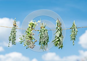 Bundles of flavoured herbs drying on the open air. Sky background.