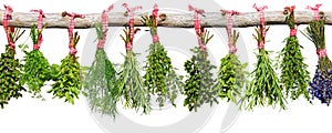 Herb bundles on limb photo
