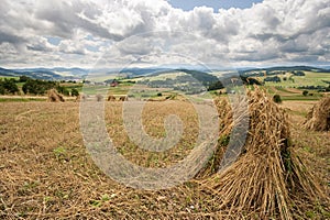 Bundles of hay with a panoramic view of Pieniny