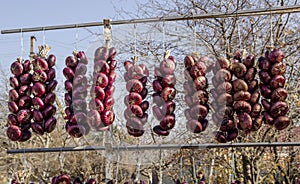 Bundles of red onions hanging in the market