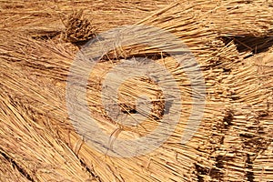 Bundles of Roof Thatching Grass