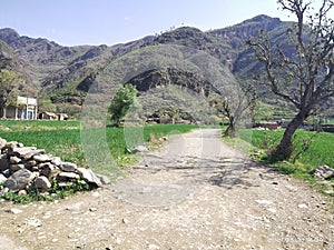 Buner KPK Pakistan