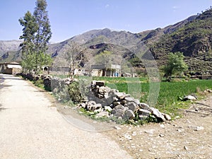 Buner KPK Pakistan