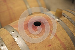 A bung hole plug of wine barrel