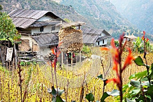 Bung - The Nepal counryside photo