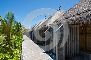 Bungalos at the topical resort at Maldives