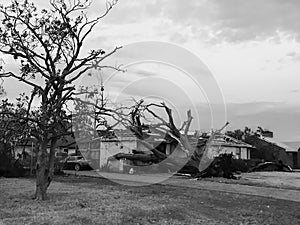 Bungalow house damaged by tornado and tree falls in Dallas, Texas