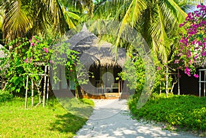 Bungalow in jungles photo