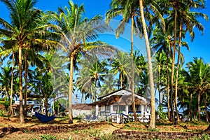 Bungalow among palm trees