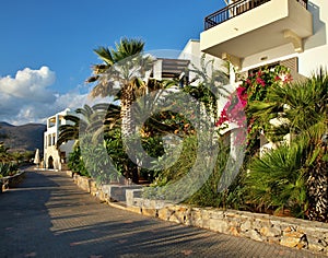 Bungalows complex- Stalis - Crete - Greece