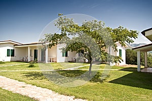 Bungalows with tree