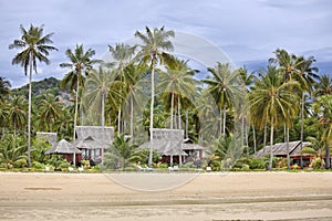 Bungalows on a tropical beach.