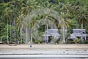 Bungalows on a tropical beach.