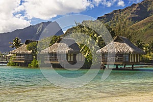 Bungalows on tropical island of Moorea