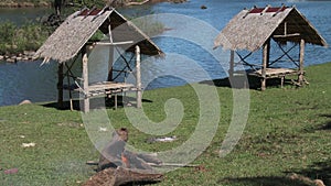 Bungalows with a view on the river in Tad Lo, Laos