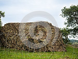 Bunger with barbed wire.