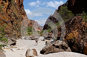 Bungle Bungle Piccaninny Gorge - Purnululu - Australia