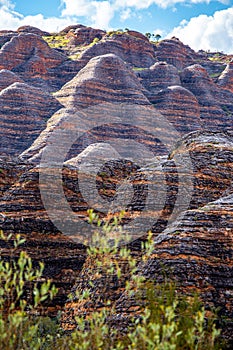 Bungle Bungles  Purnululu National Park  Kimberley  Western Australia