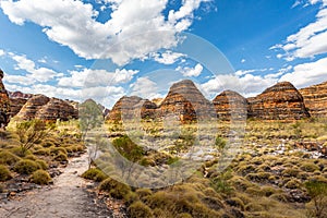 Bungle Bungles  Purnululu National Park  Kimberley  Western Australia