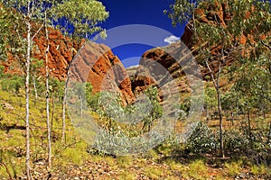 Bungle Bungles (Purnululu) - Purnululu National Park