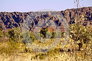 Bungle Bungles (Purnululu) - Purnululu National Park