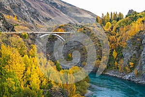 Bungy Jumping into Kawarau river