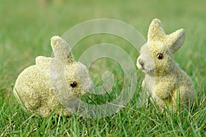 Bunnies in the garden