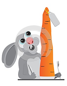 Bunny animals carrot