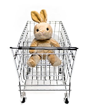 Bunny in Cart