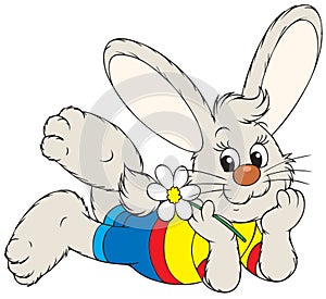 Bunny with a chamomile