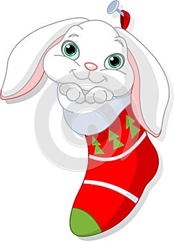 Bunny in Christmas sock