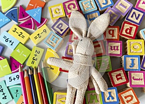 Bunny close up with penculs, fractions, blocks on the table. activities for kids.