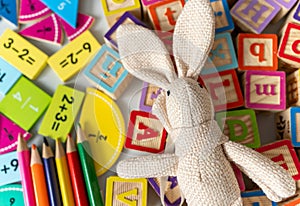 Bunny close up with penculs, fractions, blocks on the table. activities for kids
