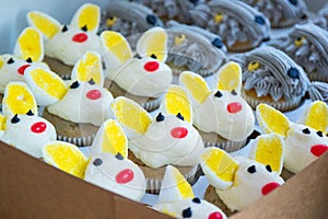 Bunny Cupcake: Delicious Dessert in a Box