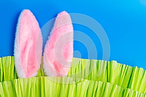 Bunny ears stick out from bright green crepe paper. Christian poster, spring greeting card, event banner. Bright blue background, photo