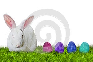 Bunny and Easter eggs on grass