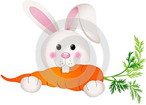 Bunny Eating Carrot