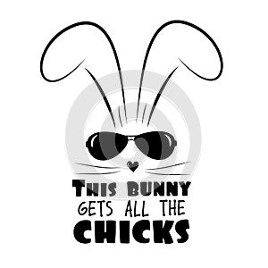 This bunny gets all the chicks - funny text wit cool rabbit