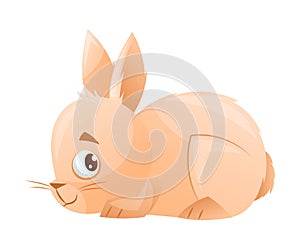 Bunny or Hare with Cute Snout and Long Ears as Home Pet Animal Vector Illustration