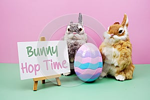 Bunny Hop Time text with rabbit and egg on pink and green background