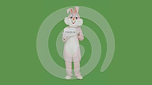 Bunny missed Easter. Rabbit holds shows placard with covid-19, coronavirus, virus, microb. Easter cancelled quarantine