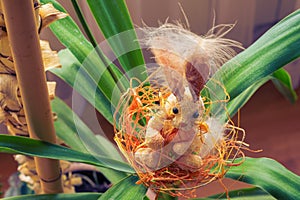 Bunny in the nest in green plant during easter