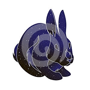 Bunny outline illustration. Stylized rabbit vector line animal, night sky color silhouette isolated on white background