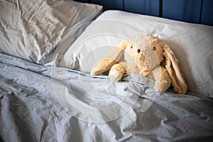 Bunny plush toy put into parents bed