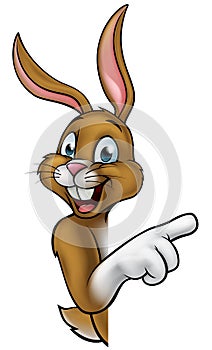 Bunny Rabbit Cartoon