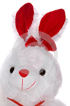 Bunny rabbit cuddly toy